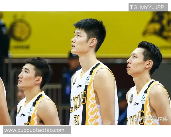 浙江广厦与辽宁队对决分析全方位解读两队实力与战术布局